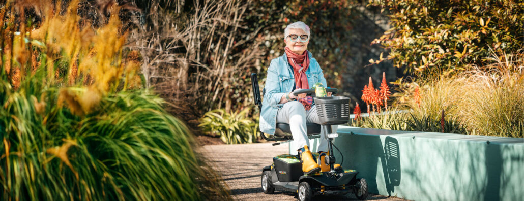 New Subscription Products